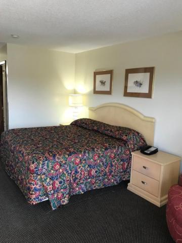 Western Motel Brinson Crossing Extérieur photo