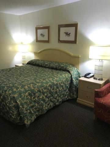 Western Motel Brinson Crossing Extérieur photo